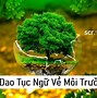 Bài Slide Thuyết Trình Về Môi Trường