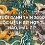 Canh Thìn 2000 Là Rồng Gì