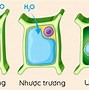 Hình Thức Vận Chuyển Các Chất Qua Màng Tế Bào