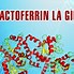 Lactoferrin Hồng Cách Sử Dụng